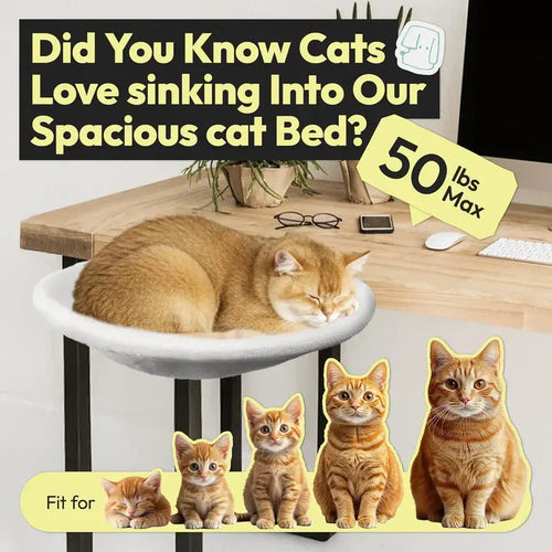 Clamp-On Desk Cat Bed for Home Office | Kumo